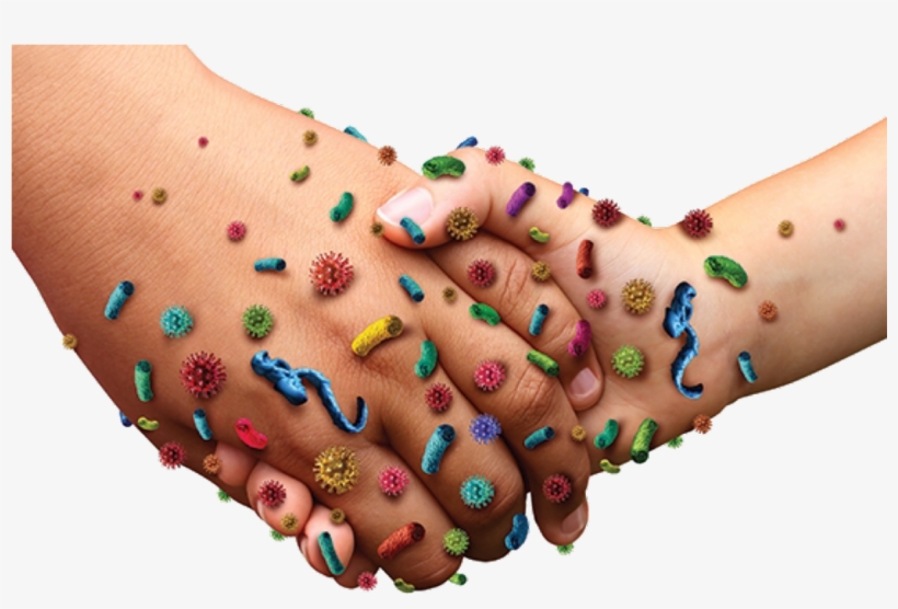 Steph Davidson On Twitter, transparent png #2749465