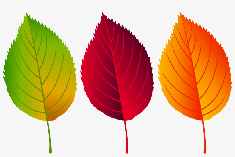Fall Leaves Png Clip Art Image, Is Available For Free - Illustration, transparent png #2751240
