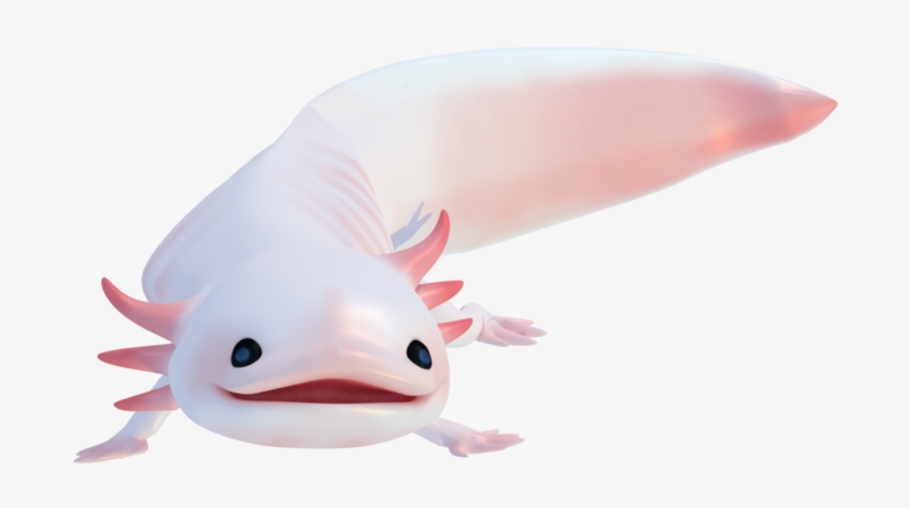 Axolotl Png - Transparent Axolotl Png, transparent png #2752028