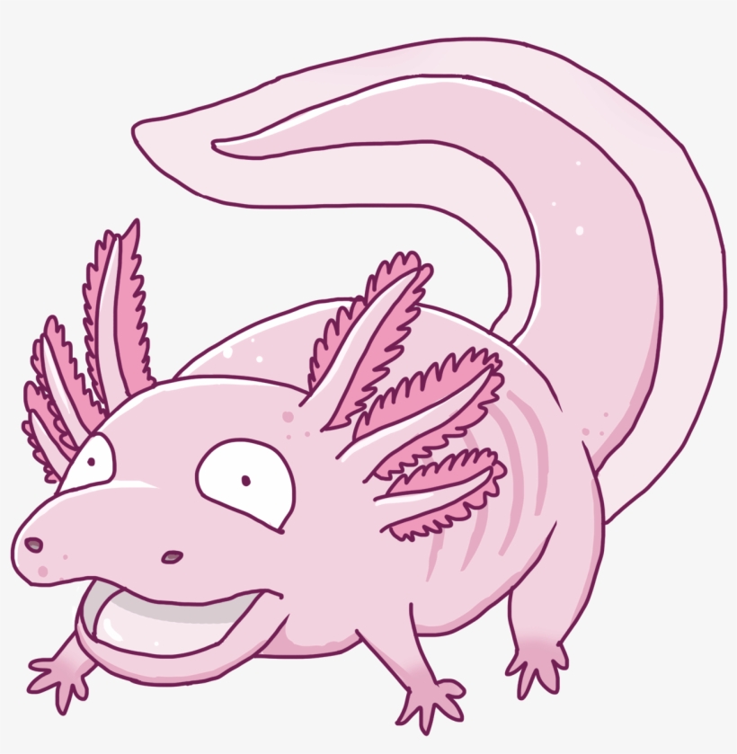 This Pokemon Sums Up The Axolotl - Axolotl Pokemon, transparent png #2752119