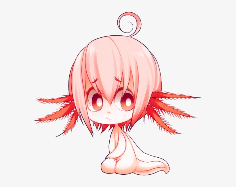 Axolotl Chibi By Kiwiboob - Kawaii Chibi Axolotl, transparent png #2752383