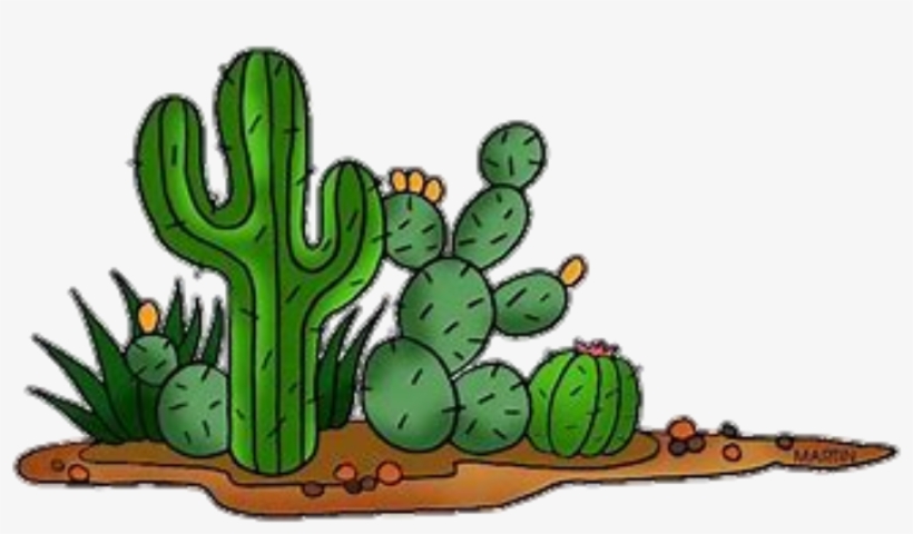 Sticker By Tee - Clipart Cactus Plant, transparent png #2754222