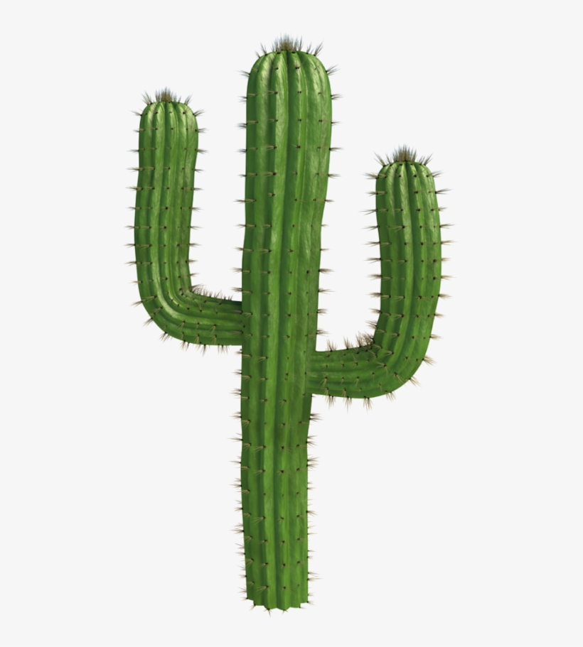 Cactus Plants Desert @freetoedit - Bnha Memes, transparent png #2754295