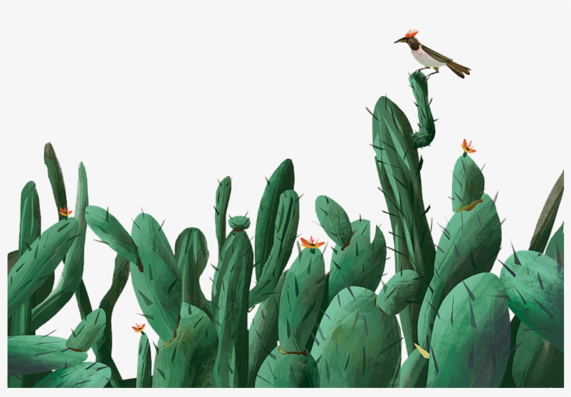 Cactus, transparent png #2754505