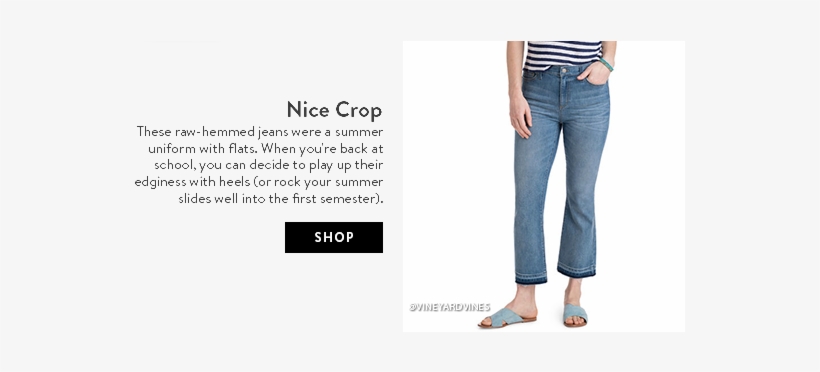 315d269f 6fcd 4ca1 Bdb6 1e718b7ad9b3 - Pocket, transparent png #2755723