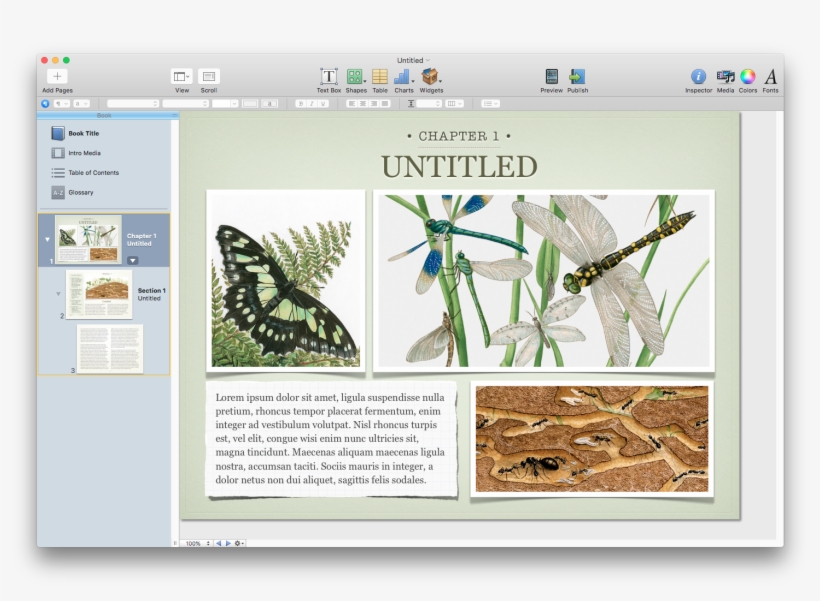 Published March 29, 2012 By C - Great Animal Orchestra: Finding The Origins, transparent png #2757211