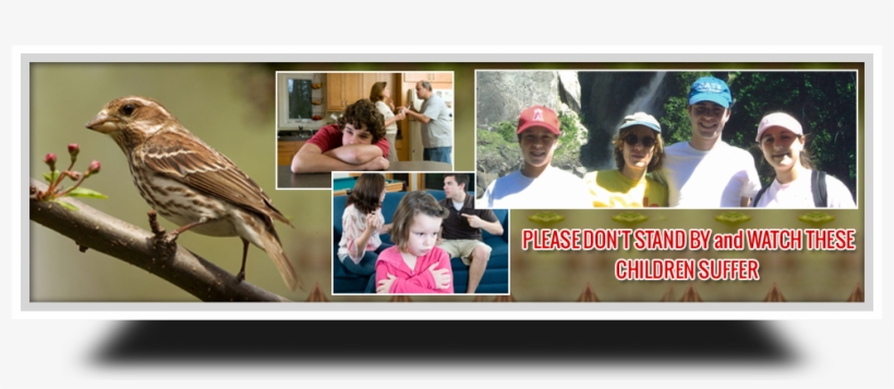 Parental Alienation Solutions - Custody And Divorce, transparent png #2757839