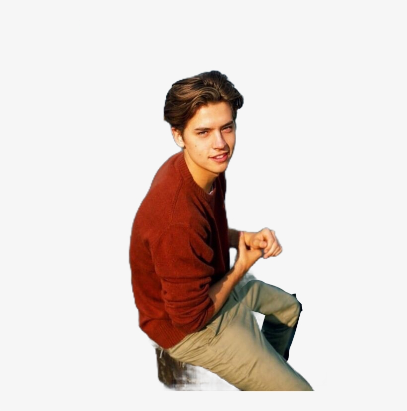 Report Abuse - Transparent Cole Sprouse Png, transparent png #2760304