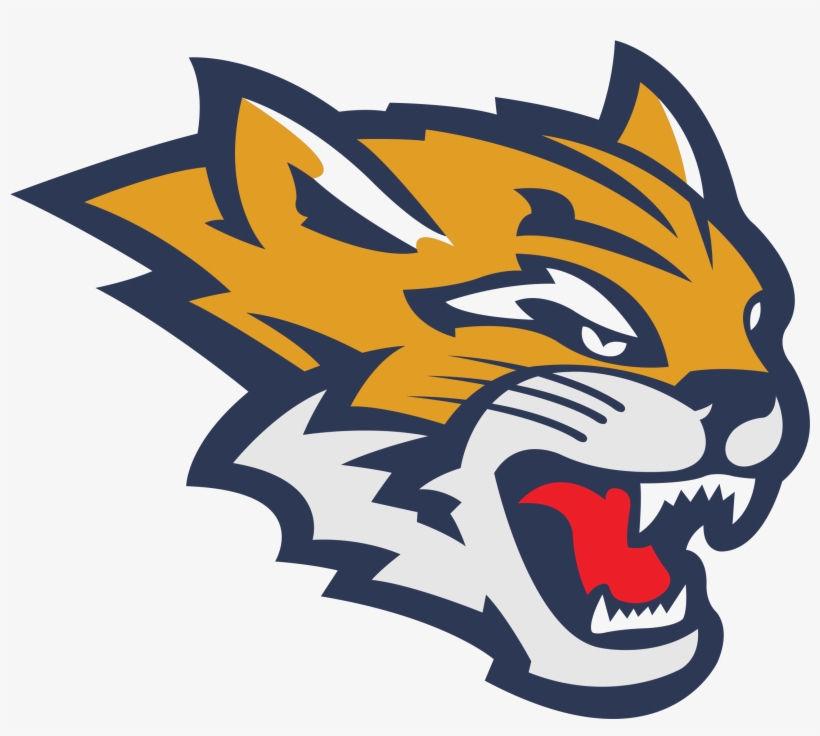 Frostburg State University Mascot, transparent png #2760767