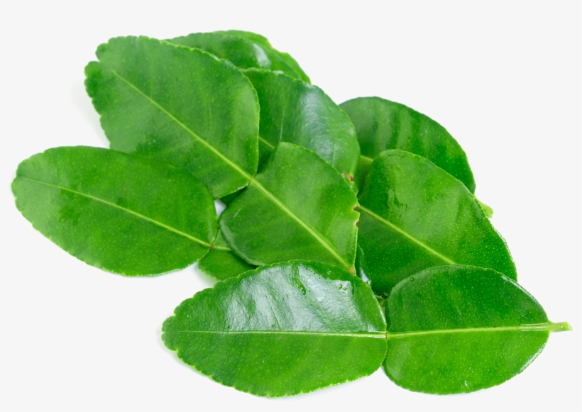 Kaffir Lime Leaves Png Background Image - Kaffir Lime Leaf, transparent png #2761872