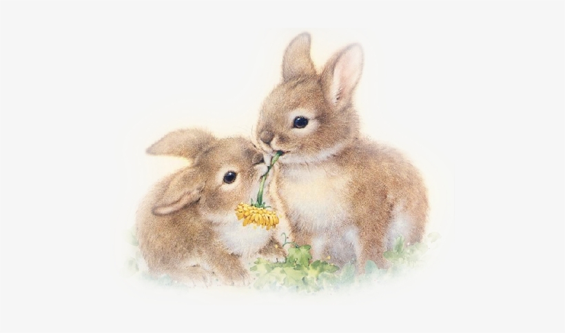 Cute Illustration, Easter Bunny, Baby Bunnies, Bunny - 2 Bunnies, transparent png #2764935