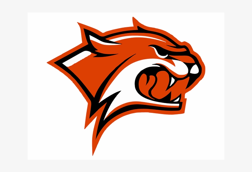 Orange Wildcat Logo Mascot Template Vector - Unh Wildcats, transparent png #2765867