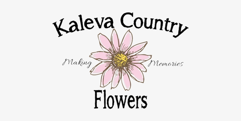 Store Logo Store Logo, transparent png #2766387