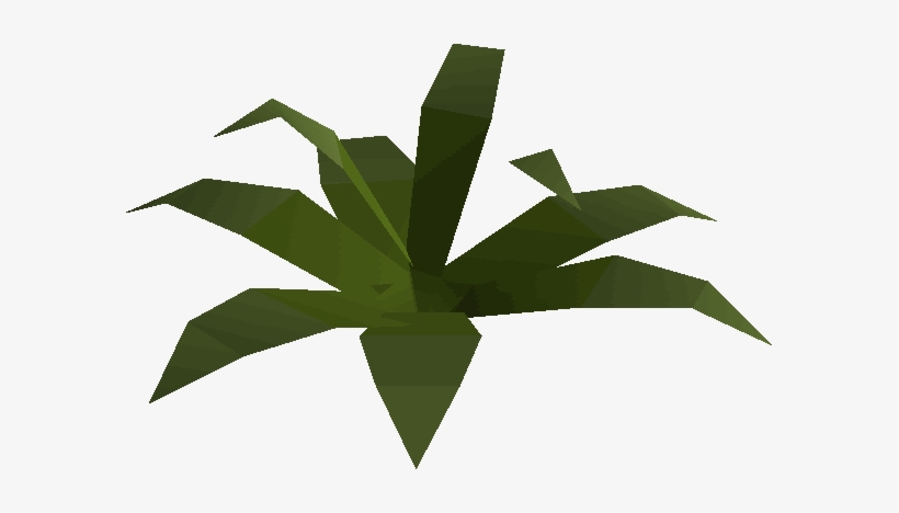 Fern Built - Wiki, transparent png #2767462