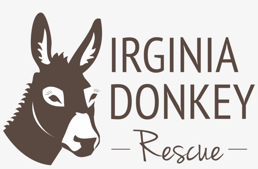 Donkey For Sale In Virginia Beach, transparent png #2767522