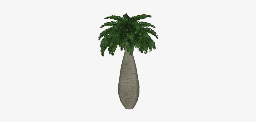 Rapa Nui Palm Small - Attalea Speciosa, transparent png #2767657