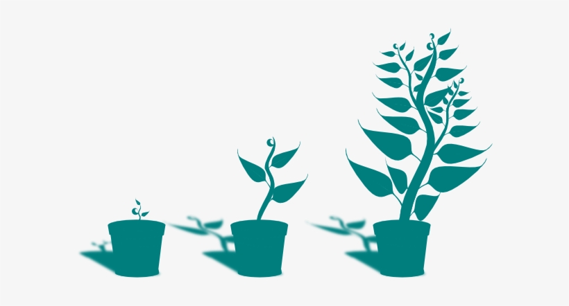 Plants Clipart Small Plant - Getting To Know Plants, transparent png #2767740