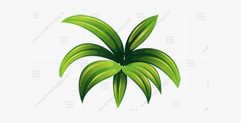 Small Plant, transparent png #2767791