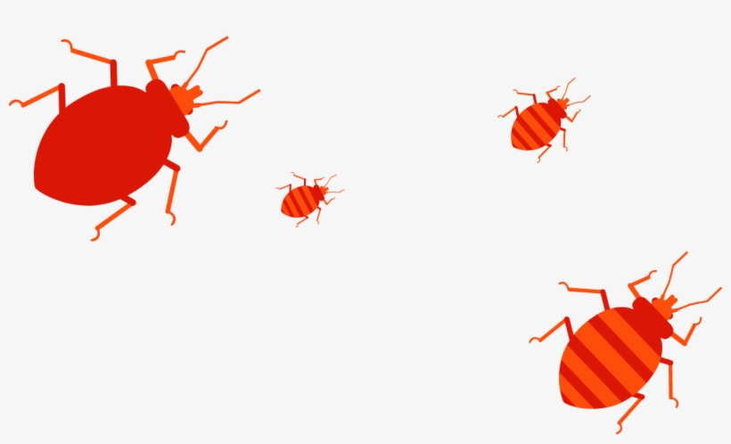 Sad-guy Left@2x - Dung Beetle, transparent png #2769536