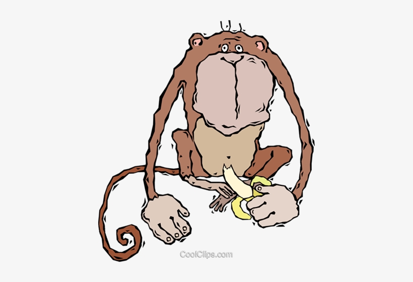 Monkey, Eating A Banana Royalty Free Vector Clip Art - Monkey Sitting With Eating Banana, transparent png #2769589