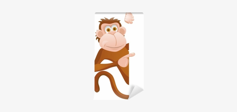 Monkey, transparent png #2769708