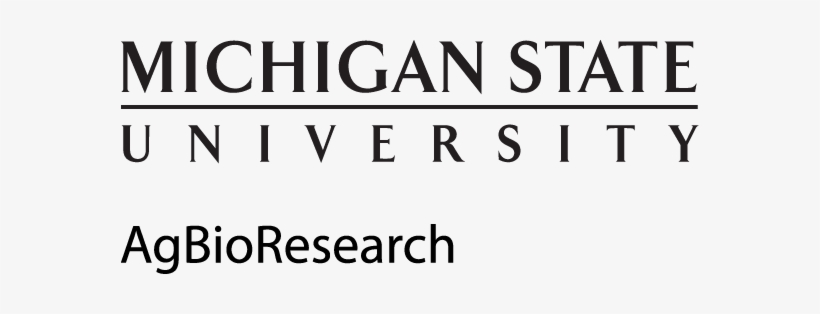 Black Logo - Michigan State University, transparent png #2769781