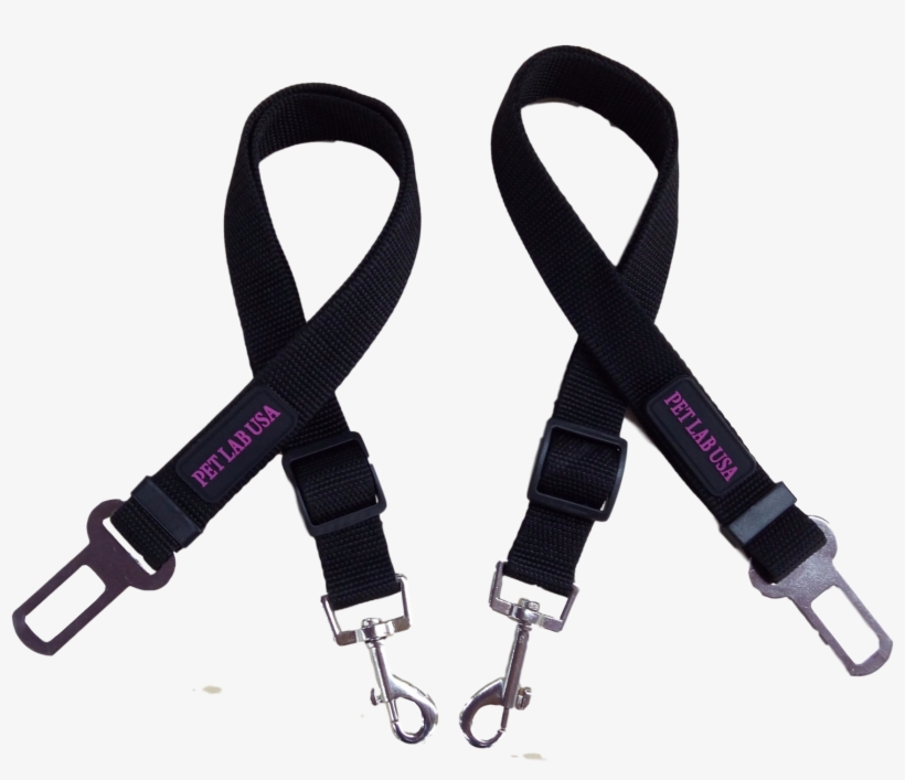 2-3 Feet Long Dog Seat Belt - Dog Seat Belt Png, transparent png #2769840