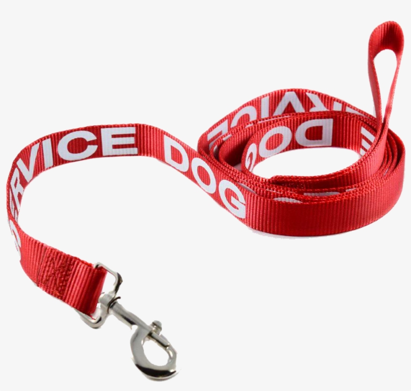 Service Dog Leash - Service Dog, transparent png #2769874