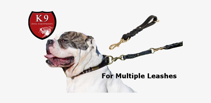 Short Pull Tab Leash - Short Leash Png, transparent png #2769915