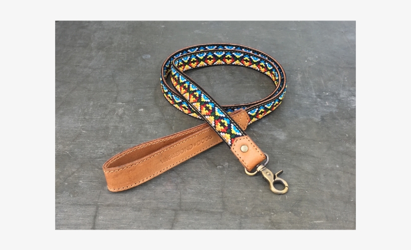 Chayanne Dog Leash - Collar, transparent png #2769994