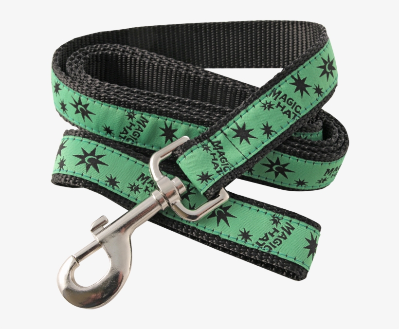 Dog Leash Photo - Dog, transparent png #2770024