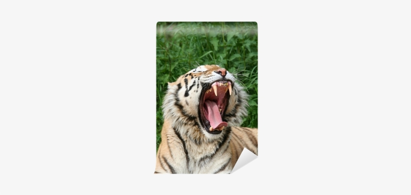 Roar, transparent png #2770183