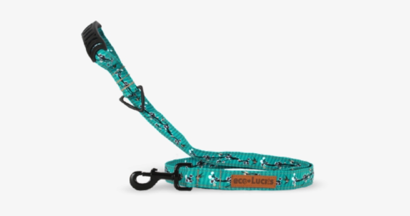 Dublin Dog Leash Eco-lucks Honk Kong Teal Length 5 - Montauk, transparent png #2770226
