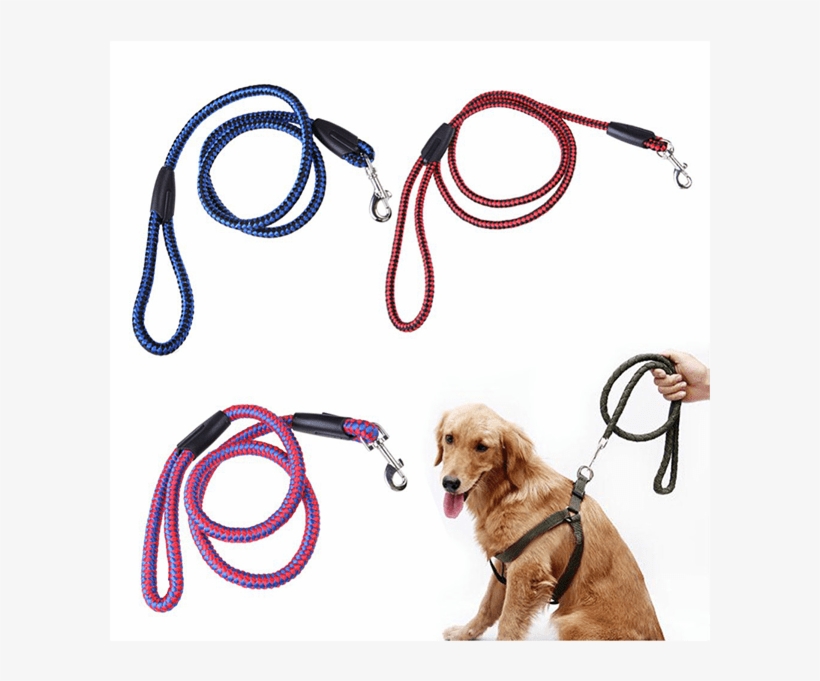 Round Nylon Dog Leash 5 Feet - [cross] ペット 犬 中型犬 大型犬 ハーネス リード セット 胴輪 頑丈 ロープ 介護 (ブルー,l), transparent png #2770259
