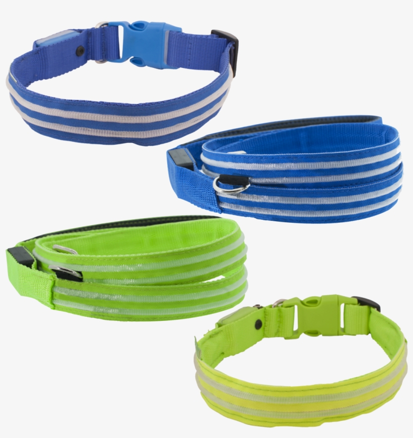 Bargain Sale Shop The Led Lite Up Leash & Collar, transparent png #2770321