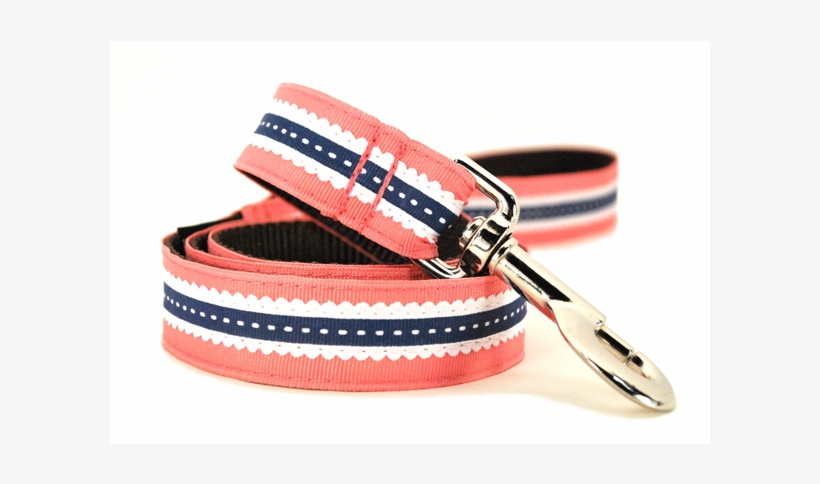 Discontinued Navy Scallop Dog Leash - Buckle, transparent png #2770343