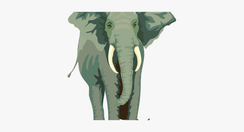 The Elephant's Noose - African Elephant Shower Curtain, transparent png #2771092