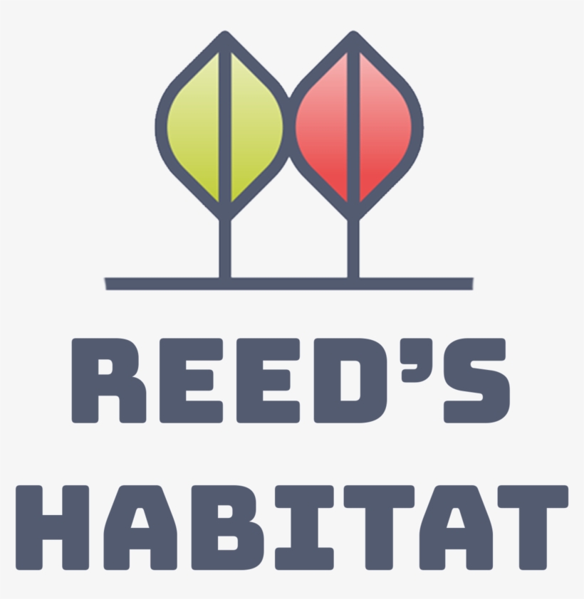 Habitatlogonew - شعار نادي هجر الجديد, transparent png #2771173