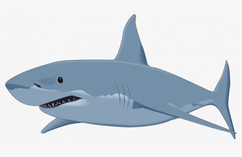 Shark With Transparent Background, transparent png #2771480