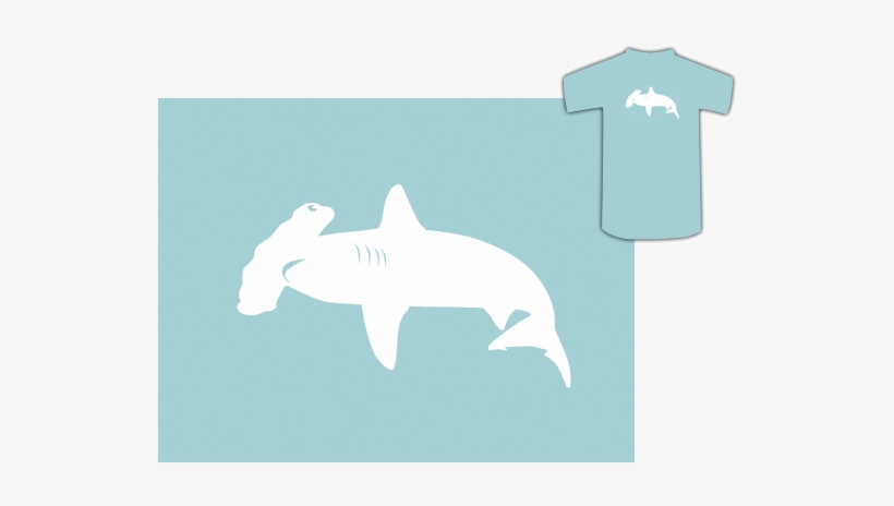Hammerhead Shark - Bronze Hammerhead Shark, transparent png #2771669
