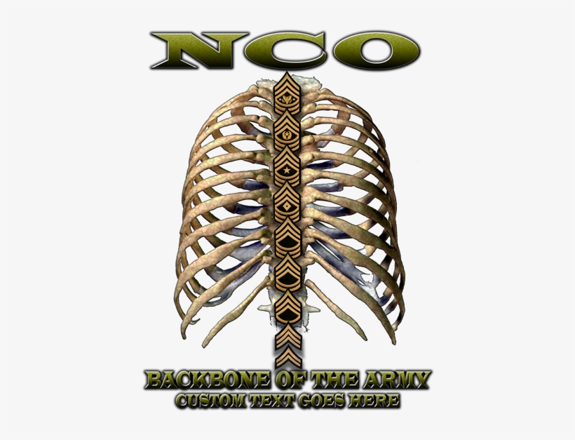 Backbone Of The Army