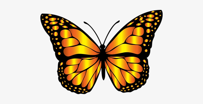 Flying Butterfly Drawing At Getdrawings - Butterfly Clip Art, transparent png #2772244