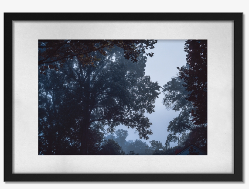 Morning - Free Transparent PNG Download - PNGkey