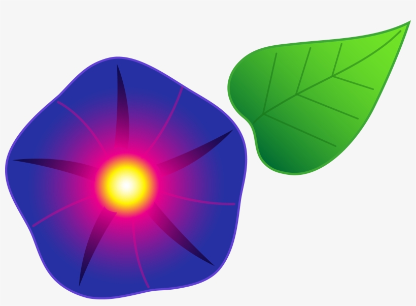 Morning Glory Flower Clipart, transparent png #2773490