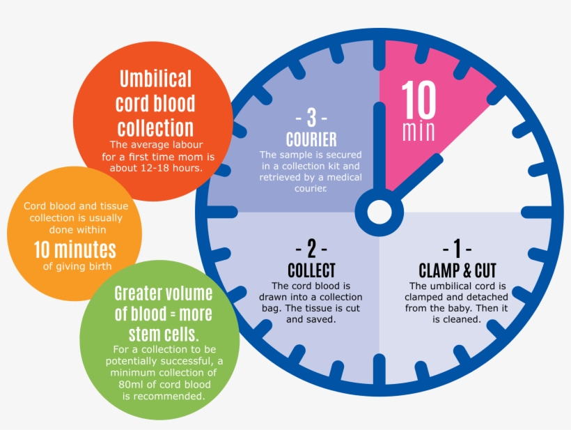 Clock-image - Medaille 1 Tekening, transparent png #2774154