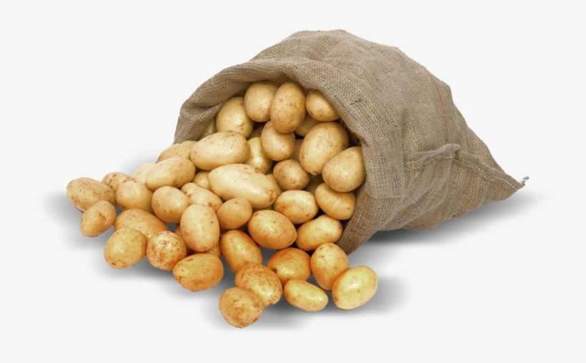 Istock 000017472664small - Russet Burbank Potato, transparent png #2774361