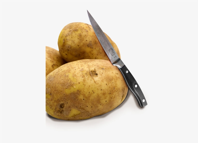 Emergency Essentials Freeze Dried Potato Dices Can, transparent png #2774452
