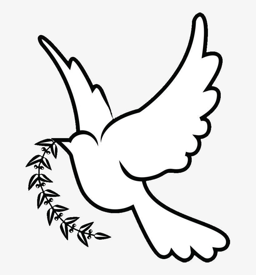 28 Collection Of Dove Drawing Png - White Dove Drawing Png, transparent png #2775307