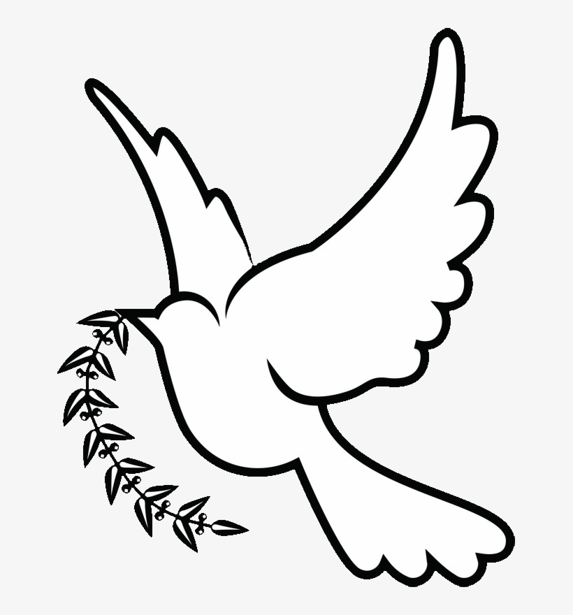 28 Collection Of Dove Drawing Png - White Dove Drawing Png - Free  Transparent PNG Download - PNGkey