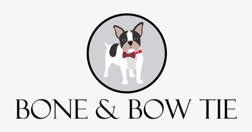 Bow Tie Dog Collars, Bloom Dog Collars, Dog Collars - John Paul Ii International Airport Kraków–balice, transparent png #2776254